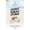 Coconut-Konjac-Sponge-–-Wave-1