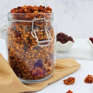 Berry Berries Lactation Granola Singapore Lactation Bakes