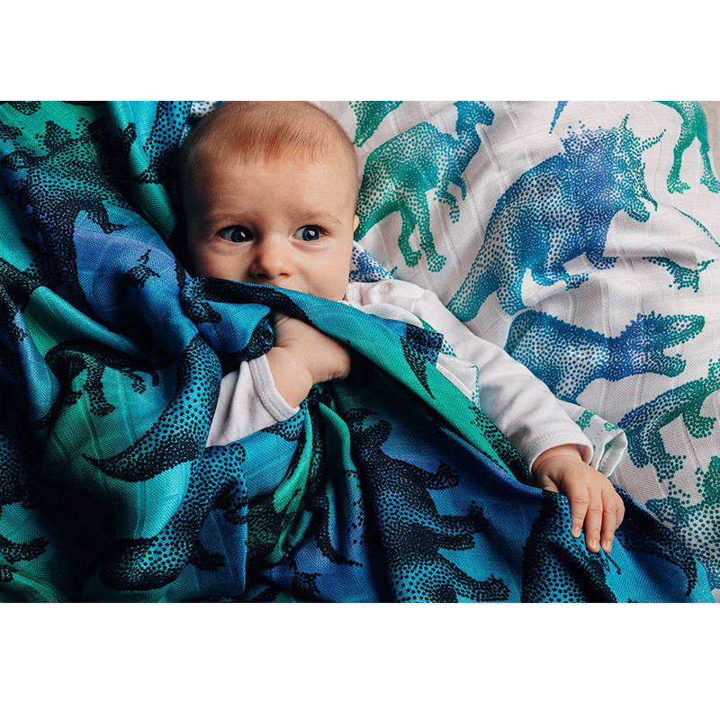 Lennylamb Swaddle Blanket 120x120cm Jurassic Park Blissful Baby One stop Online Market Place For All Your Baby Needs