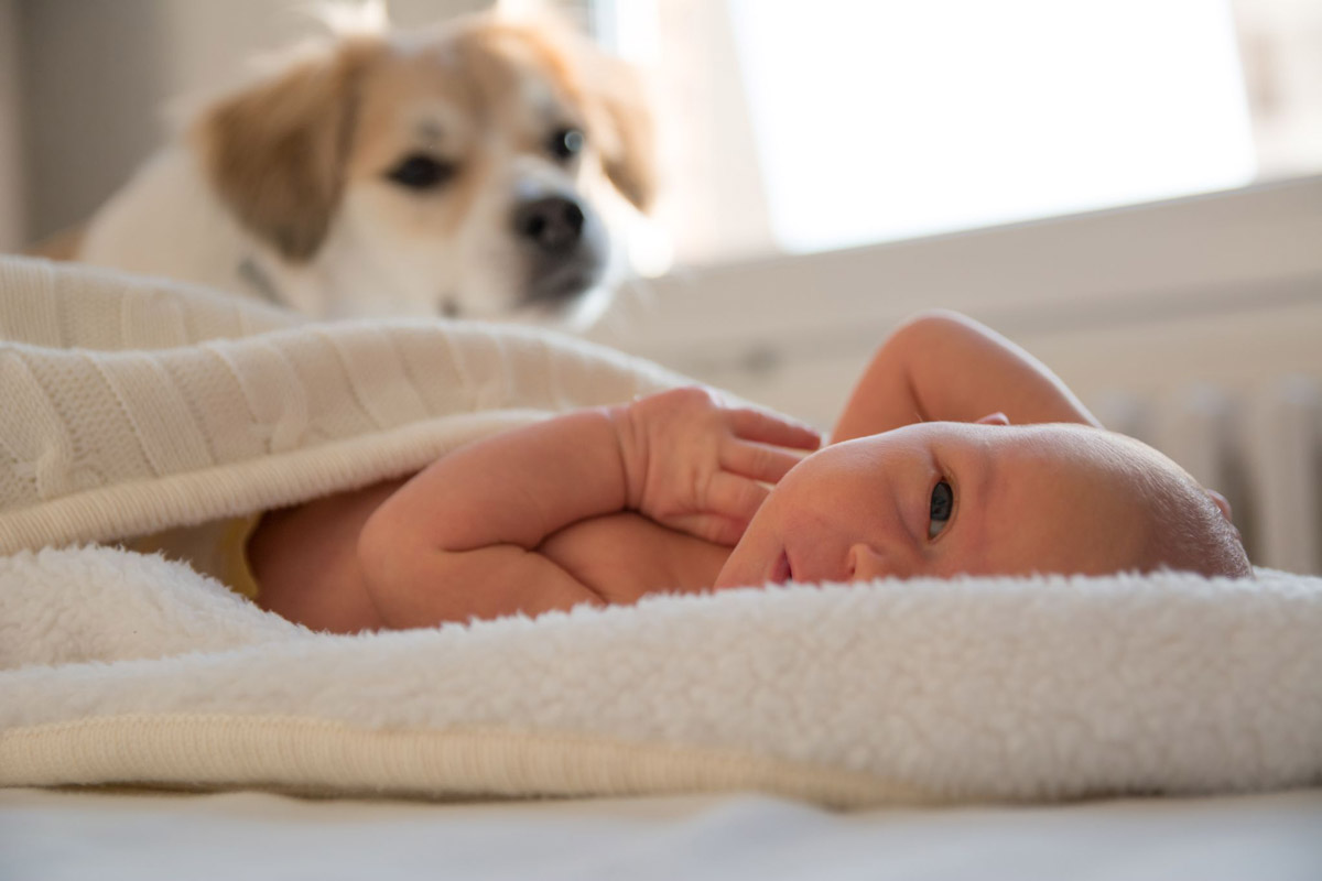 Quality Pup Time With the Family: Dog & Infant