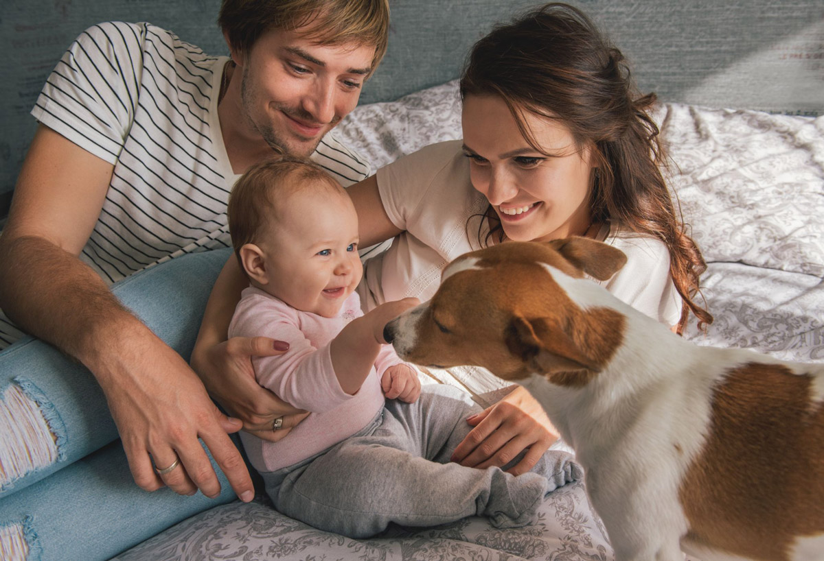 Quality Pup Time With the Family: Dog & Infant