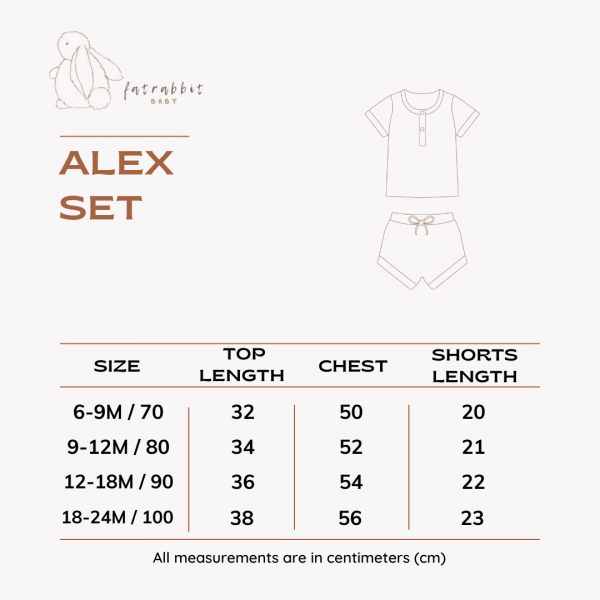 Alex Set Fat Rabbit Baby (2)